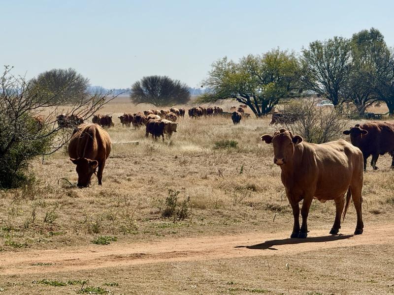 0 Bedroom Property for Sale in Bloemfontein Rural Free State